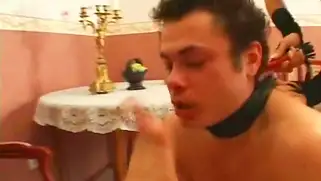 Русские госпожи решили поссать в рот парня после мытья полов