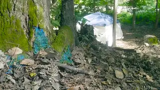 У парня секс в лесу с мутантом бабой