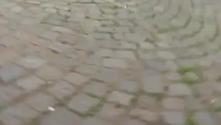 Пикапер пришел домой к зрелой бабе и трахнул сучку по-домашнему