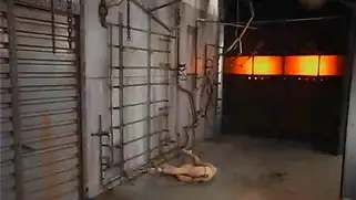 Двух красоток связали, трахнули палкой и заставили кончить